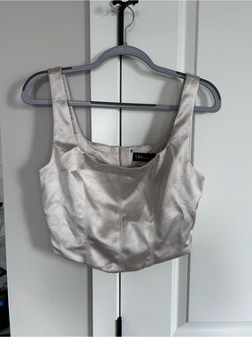 Aritzia Ten by Babaton Shine Satin Elevate Bustier Champagne Silver Crop Top